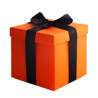 Surprise Gift